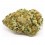 Godzilla CBD  Indoor - Grossiste fleur de CBD | Greenvillage.fr