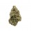 Harlequin CBD Indoor - Wholesale CBD bud| Greenvillage.fr