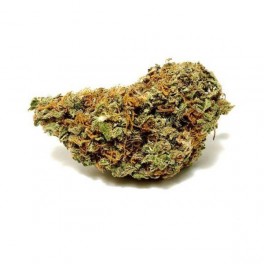 Vrac Orange Bud GreenHouse - Wholesale CBD bud| Greenvillage.fr