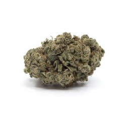Vrac Super Lemon Haze GreenHouse - Wholesale CBD bud| Greenvillage.fr