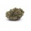 Vrac Super Lemon Haze GreenHouse - Wholesale CBD bud| Greenvillage.fr