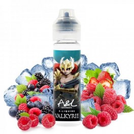 Valkyrie 50ML - Aromes et Liquides - Ecigarette wholesaler – Greenvillage.fr