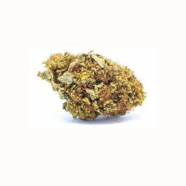Vrac Strawberry CBD Greenhouse - Wholesale CBD bud| Greenvillage.fr
