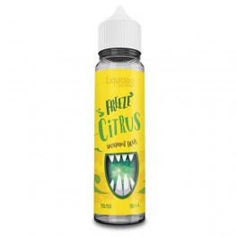 Freeze Citrus 50ML - Liquideo | Electronic cigarette wholesaler - Greenvillage.fr