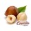 Concentre Hazelnut V2 - Capella - Grossiste cigarette electronique