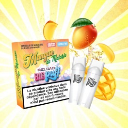 Pod Mangue de Malaisie - Big Puff Reload (Pack 2) | Grossista di sigarette elettroniche usa e getta | Greenvillage.fr