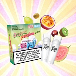 Pod Goyave Passion - Big Puff Reload (Pack 2) | Grossiste puff e cigarette jetable | Greenvillage.fr
