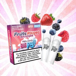 Pod Fruits Rouges Sauvages - Big Puff Reload (Pack 2) | Grossista di sigarette elettroniche usa e getta | Greenvillage.fr