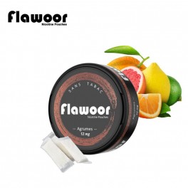 Agrumes - Flawoor Nicotine Pouch | Nicotine Pouch wholesaler | Greenvillage.fr