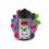 Fusion de Baies Sauvages 200ML - Biggy Bear Evo