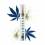 Pre-rolls XL CBD - Greeneo