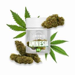 CBD Amnesia - Greeneo